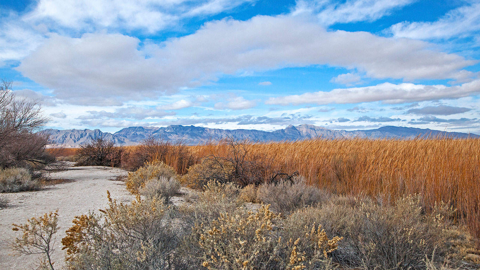 Ash Meadows National Wildlife Refuge